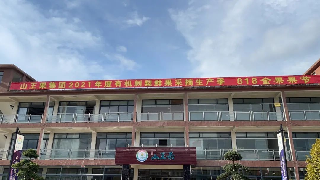 山王果 山王果